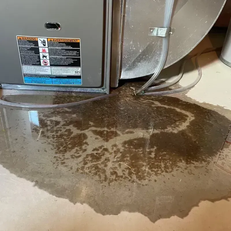 Appliance Leak Cleanup in Norwalk, OH